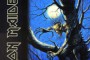 iron maiden - fear of the dark